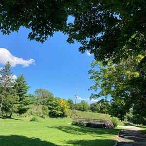 Meet your Posher, Isabella